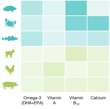 Aquatic Foods | The Nutrition Source | Harvard . Chan School of Public  Health