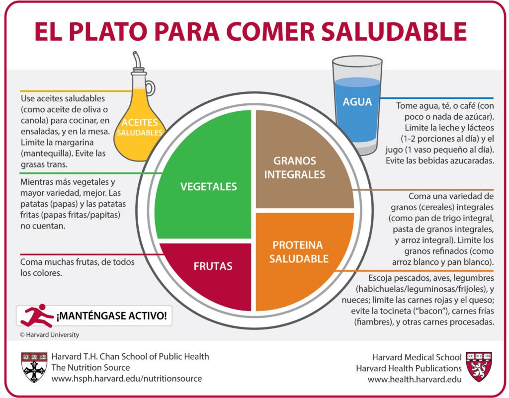 El Plato para Comer Saludable (Spanish) | The Nutrition Source | Harvard  . Chan School of Public Health