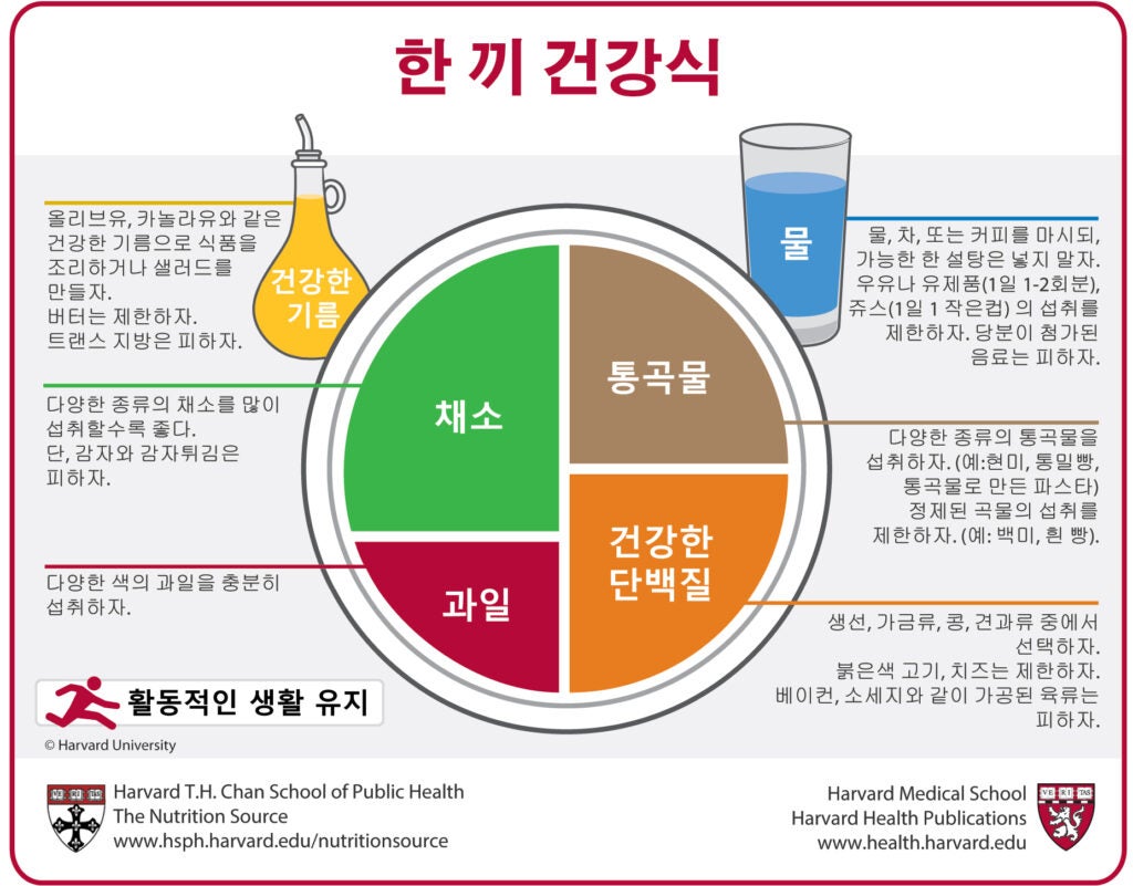 Korean Healthy Eating Plate