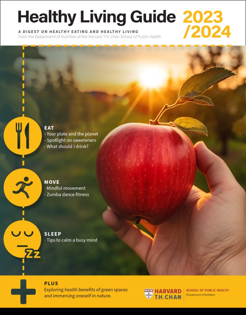 Cover image of the Healthy Living Guide downloadable PDF 