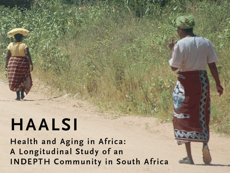 two women walking away from camera on dirt road, text that reads "HAALSI, Health and Aging in Africa A Longitudinal Study of an INDEPTH Community in South Africa"