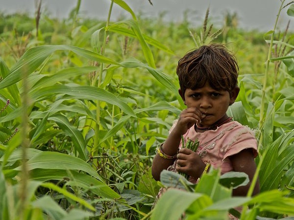 Child in a field in India