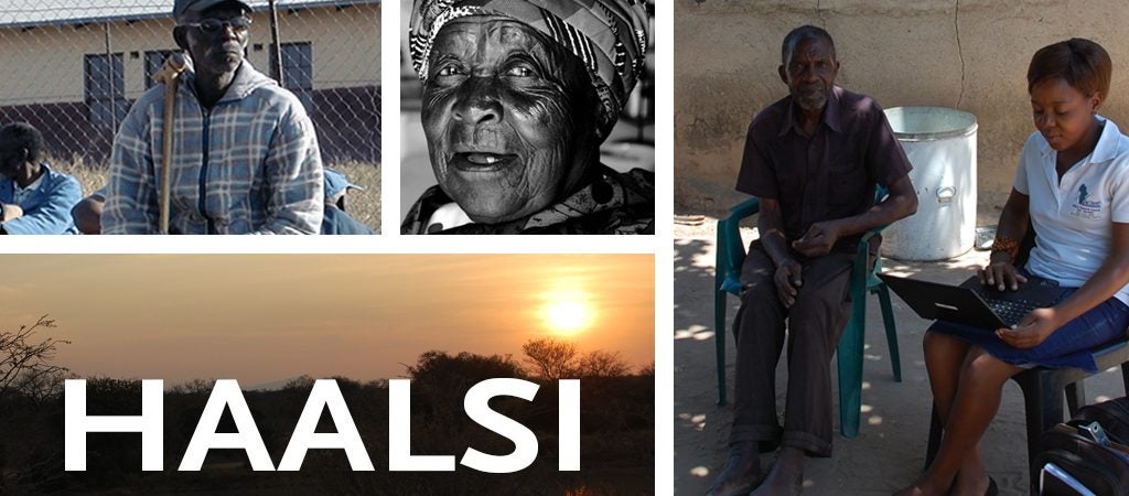 HAALSI collage of people and South Africa