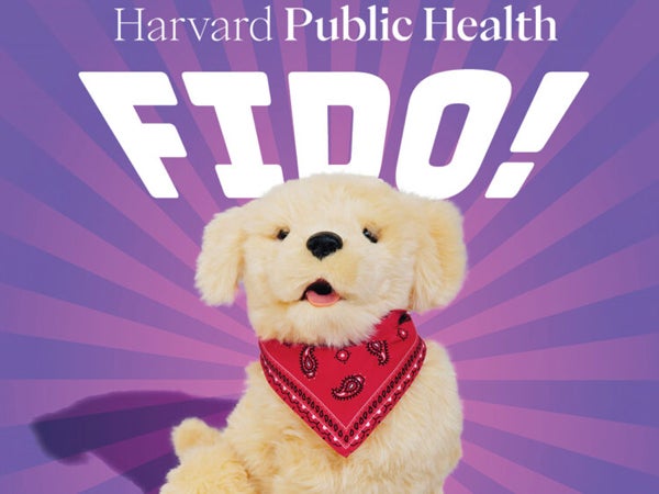 Cover of Harvard Public Health Magazine
