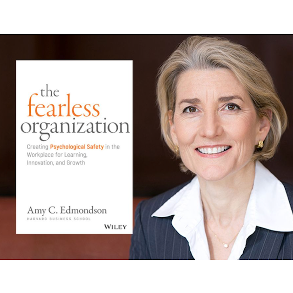 Book Cover The Fearless Organization