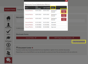 Screenshot of View Prior Submissions view in portal