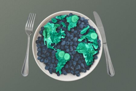 Event image of a plate with blueberries and the planet Earth