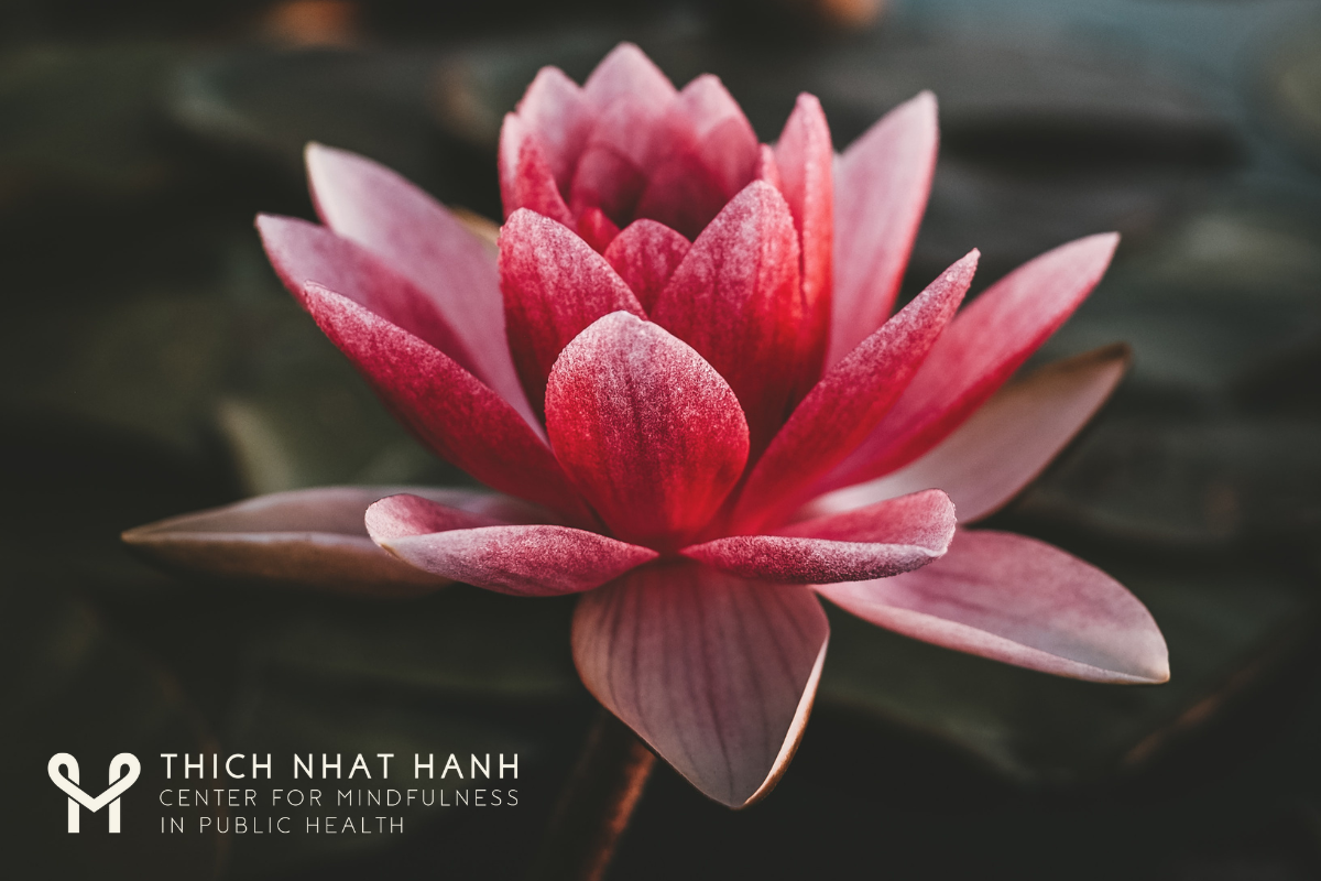 Inaugural Symposium and Launch Celebration: Thich Nhat Hanh Center for Mindfulness in Public Health