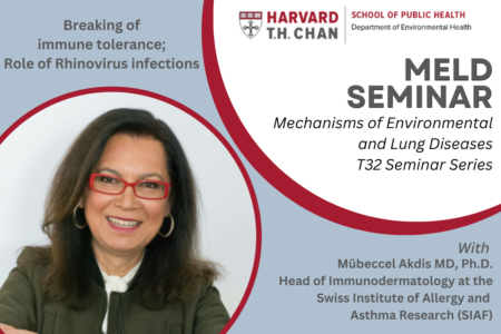 Dr. Mübeccel Akdi and her MELD T32 Seminar flyer