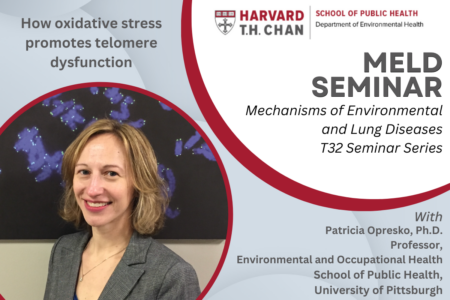 Promotional flyer for Dr. Patricia Opresko's MELD T32 Seminar titled 'How oxidative stress promotes telomere dysfunction'