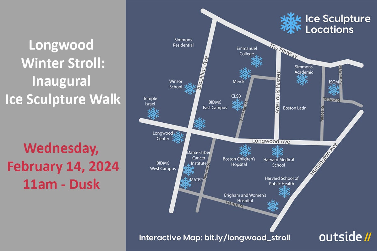 Longwood Winter Stroll: Inaugural Ice Sculpture Walk