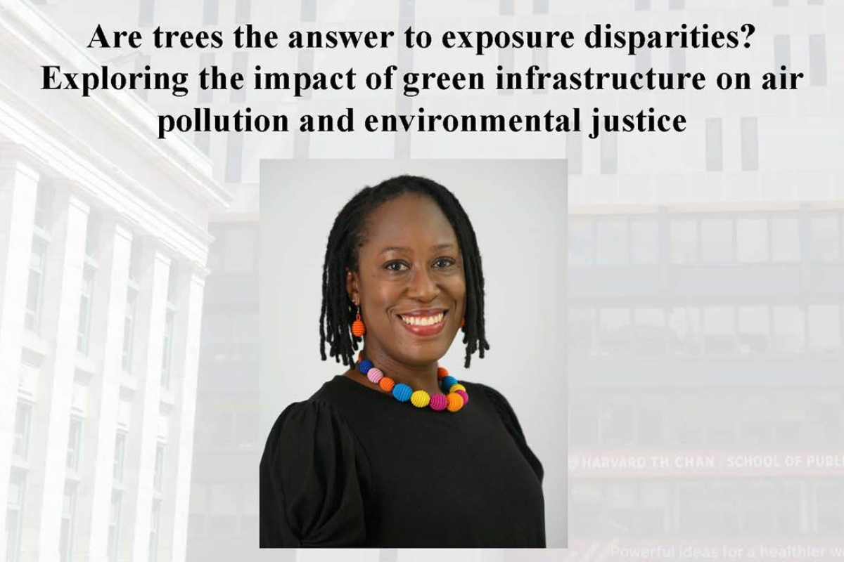 Department of Environmental Health Seminar – Are trees the answer to exposure disparities?