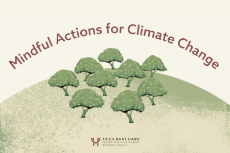 Green trees on top of planet Earth with the Thich Nhat Hanh Center for Mindfulness in Public Health logo. "Mindful Actions for Climate Change" in maroon text.