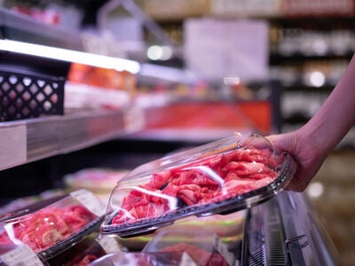 Carnivore diet a ‘terrible idea’