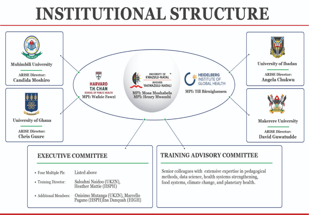 DSI Institutional Structure