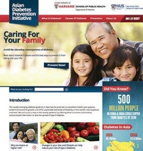 Asian Diabetes Prevention Initiative website