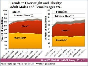 Trends in Overweight and Obesity-350