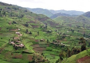 Uganda-landscape