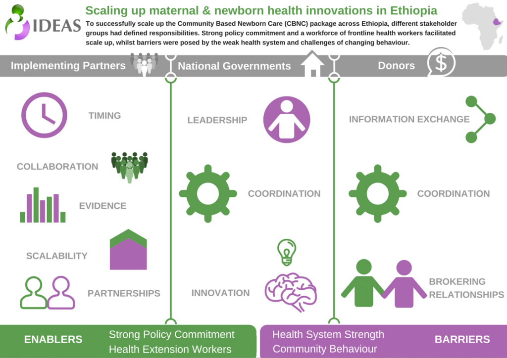 Scaling Up Innovations in Maternal and Newborn Health: 5 Lessons Learned