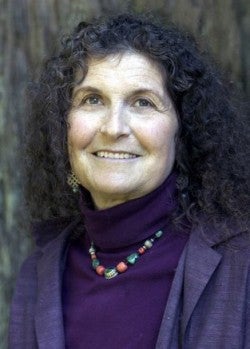 Dr. Arlene Blum: Flame Retardants and the “Six Classes” of Harmful Chemicals: How Science Can Impact Policy