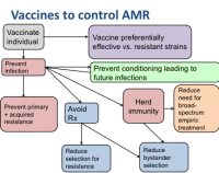 Vaccines as a Solution to AMR
