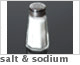 salt-icon