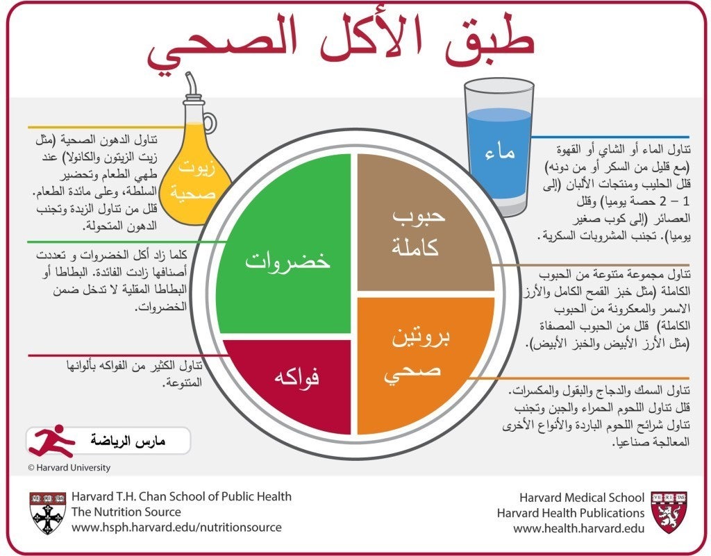 Arabic Healthy Eating Plate