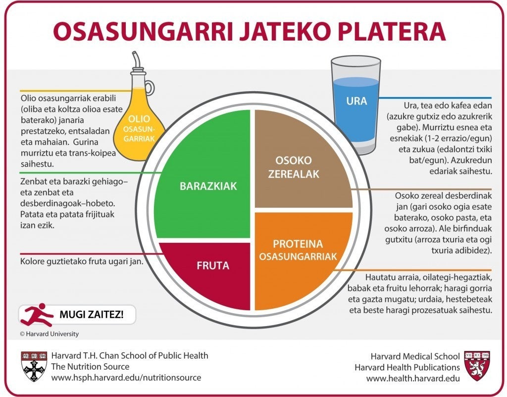 Basque Healthy Eating Plate Translation