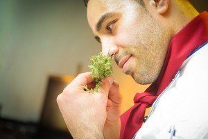 chef_smelling_herbs