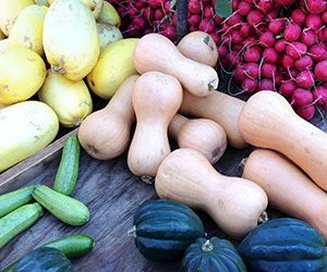 A variety of carbohydrates, such as butternut squash, spaghetti squash, acorn squash, zucchini, and radishes