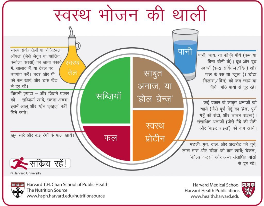 Healthy Eating Plate Translation Hindi