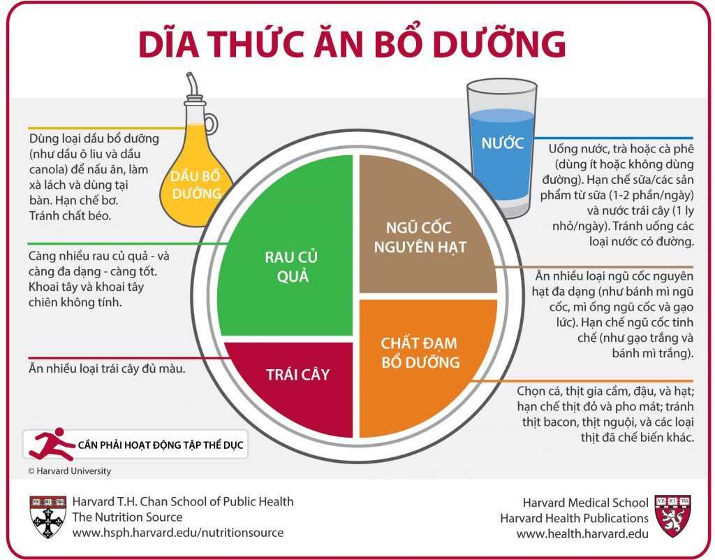 Vietnamese Healthy Eating Plate translation