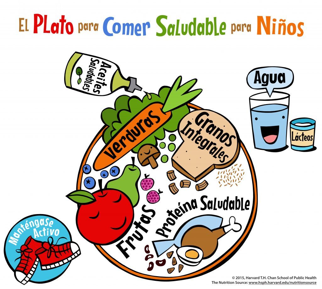 El Plato para Comer Saludable para Niños