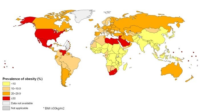 Global Obesity Map Medium (global-obesity-map-2008-medium.jpg)
