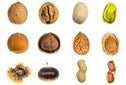 nuts small (nuts_pill.jpg)