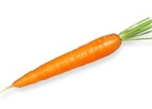 Single carrot (single_carrot.jpg)